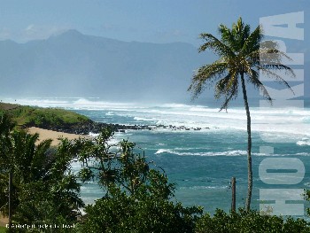 Hookipa / Northshore Maui Hookipa / Northshore Maui
