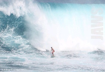 Jaws / Northshore Maui Jaws / Northshore Maui
