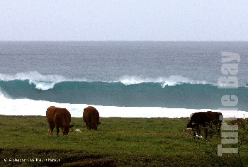 Turtle Bay / Northshore Maui