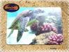 Postkarte Hawaiian Turtle 'BeBe'