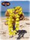 Flower Lei yellow