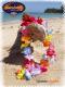 Lei red rainbow