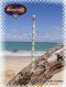 Bleistift Hawaiian Palms White